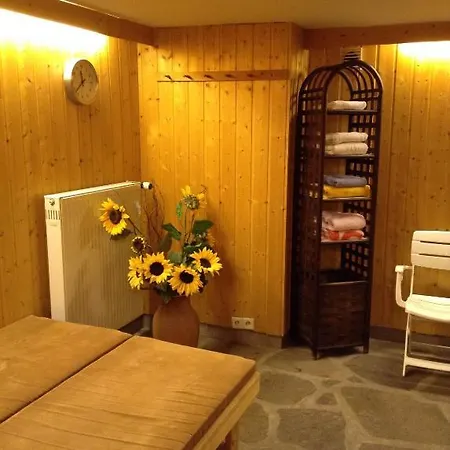 Haus Duemling 3* Braunlage